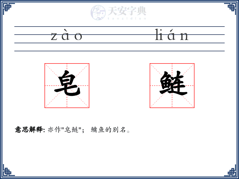 皂鲢