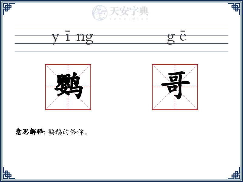 鹦哥