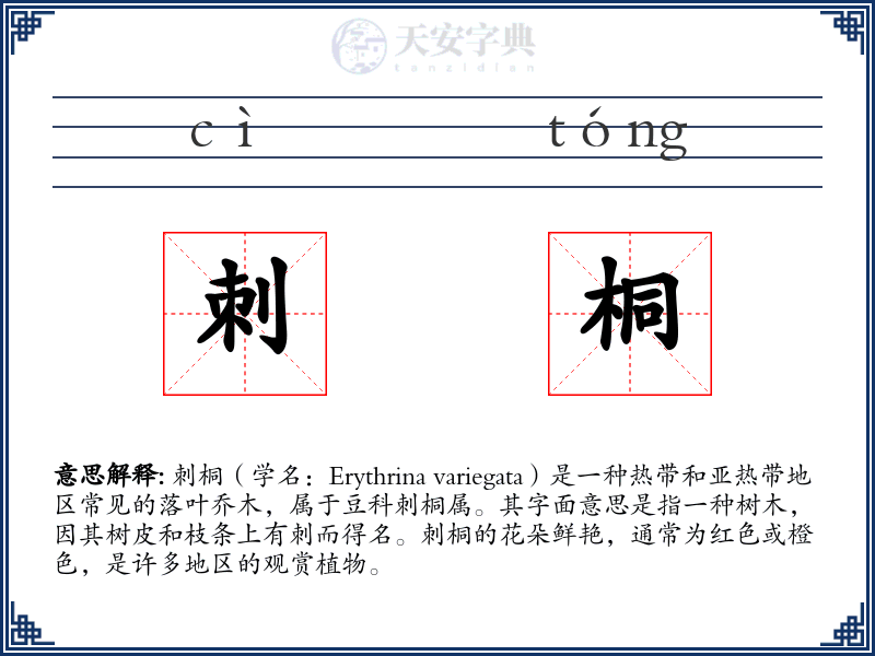刺桐
