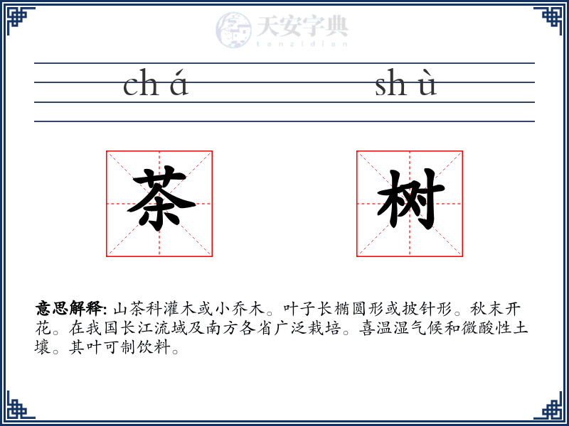 茶树