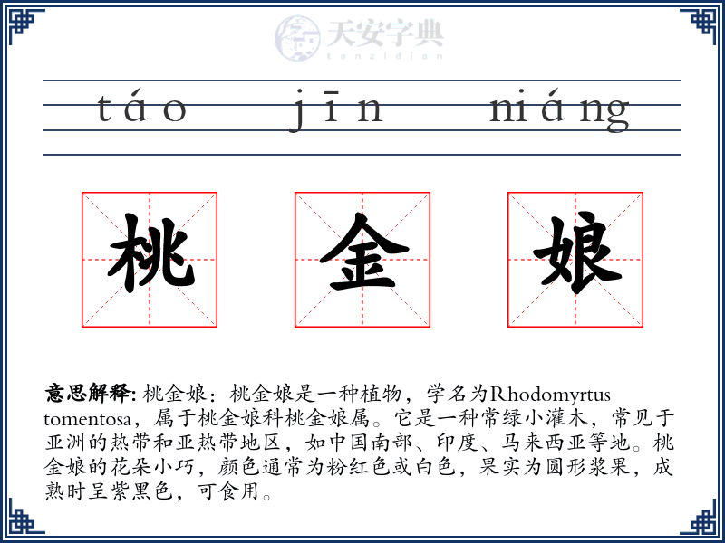 桃金娘