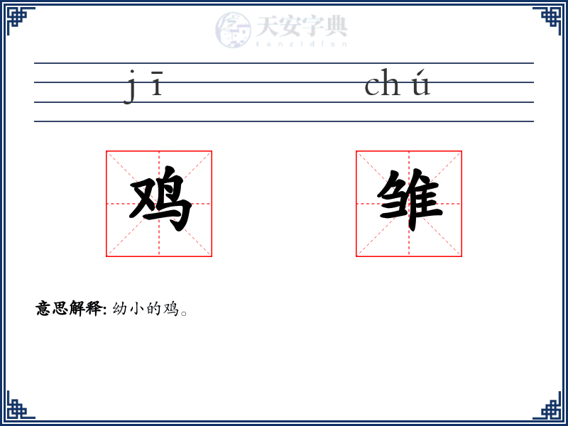 鸡雏