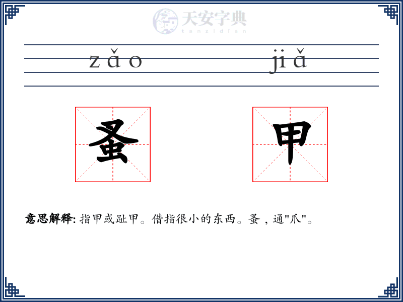 蚤甲