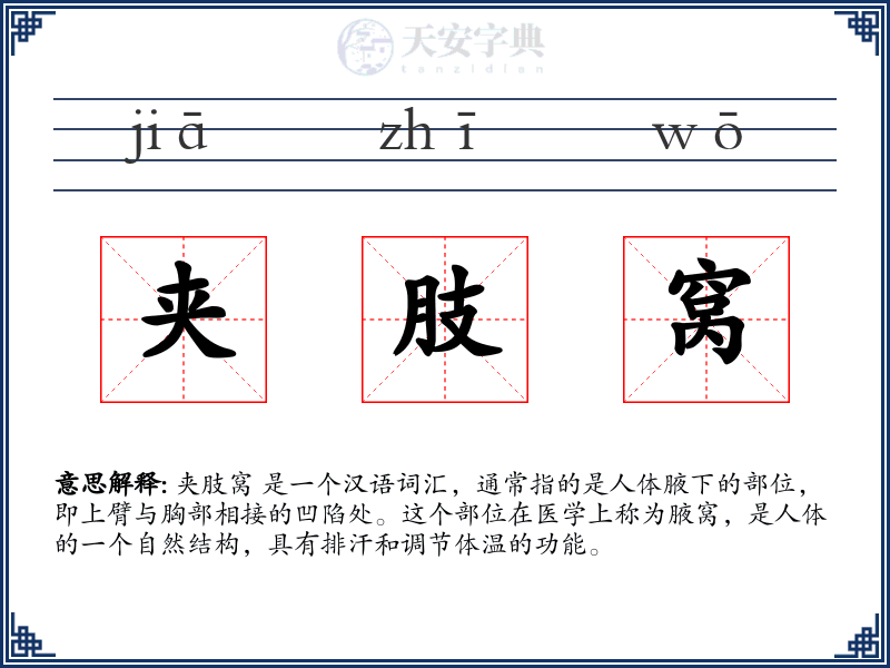 夹肢窝