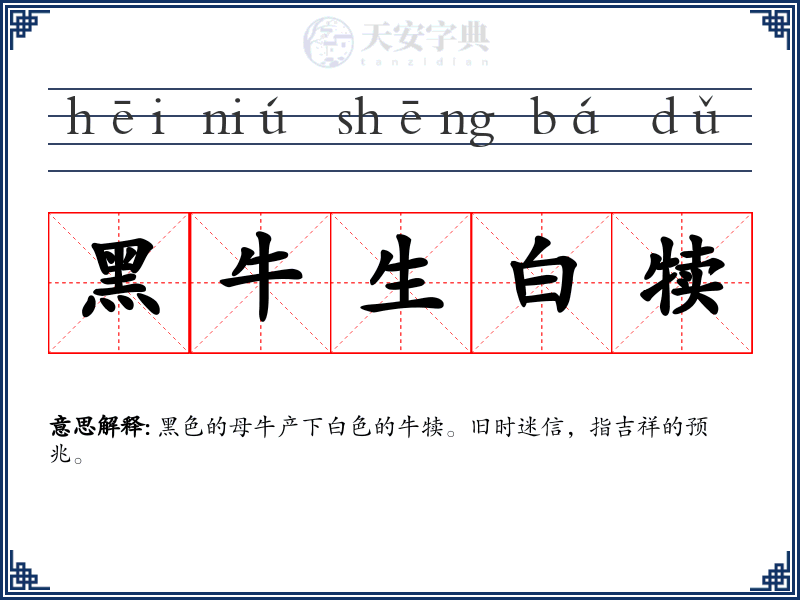 黑牛生白犊