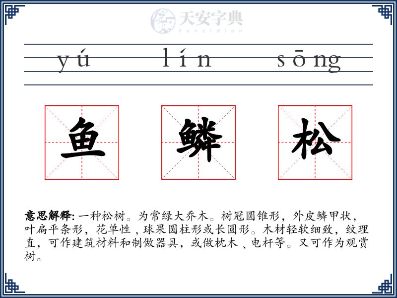 鱼鳞松