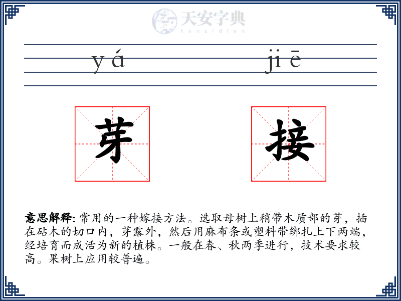 芽接