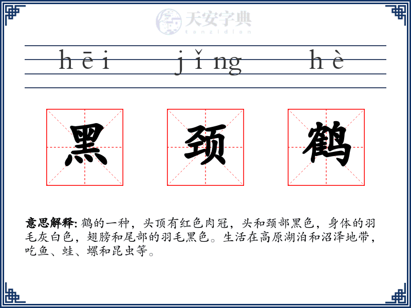 黑颈鹤