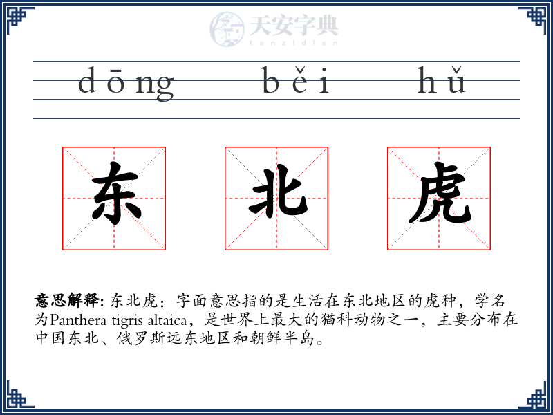 东北虎