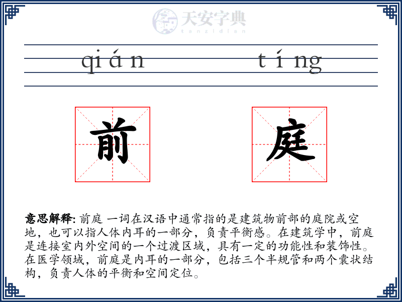 前庭