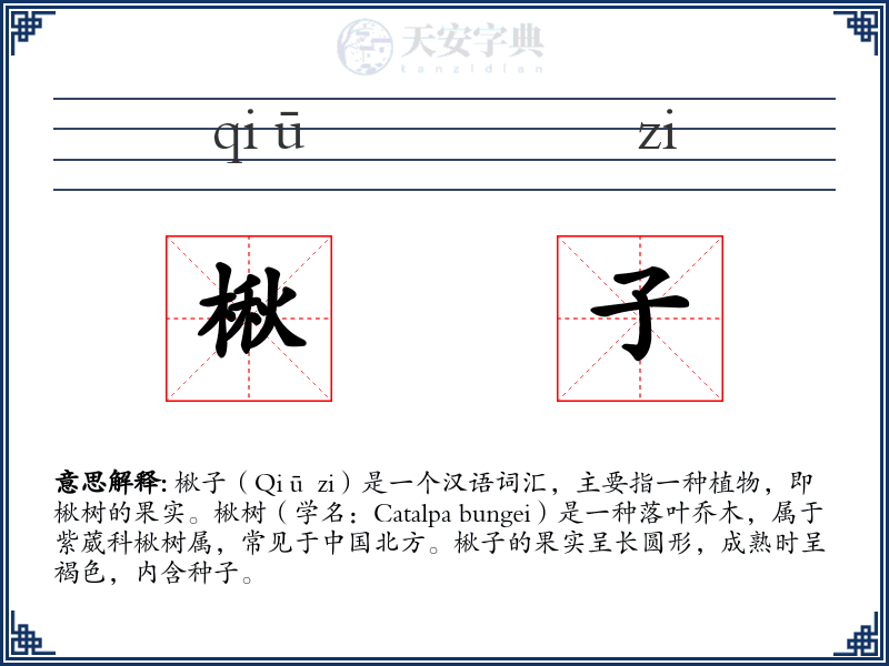 楸子