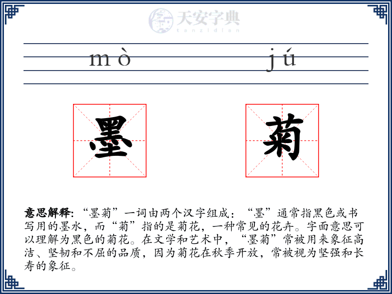 墨菊