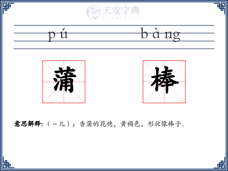蒲棒