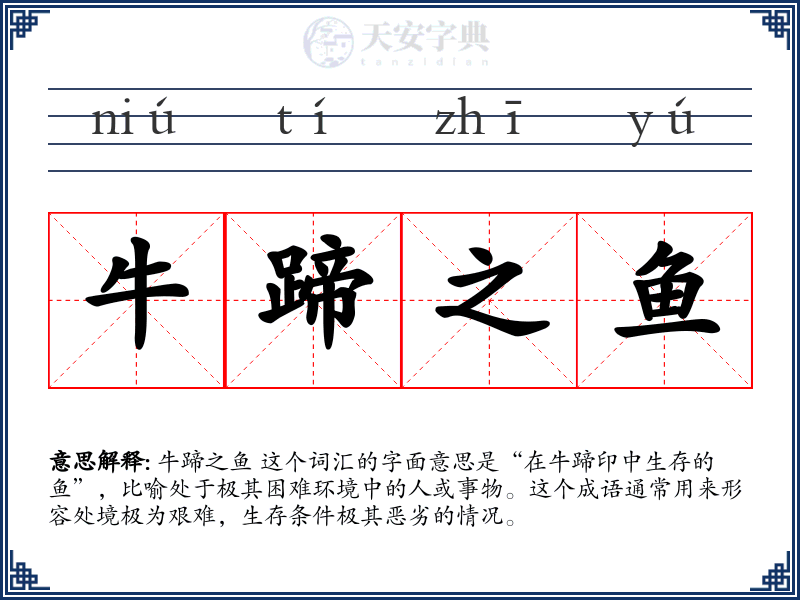 牛蹄之鱼