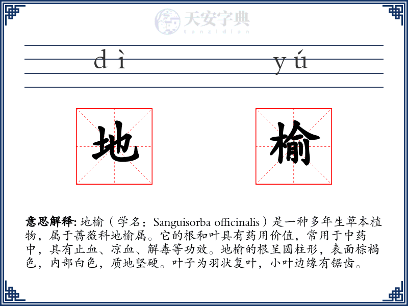 地榆