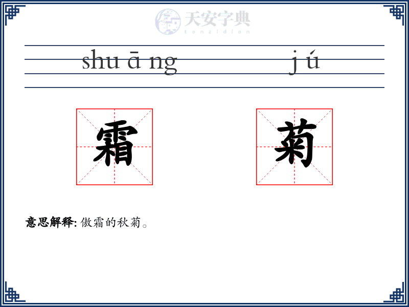 霜菊