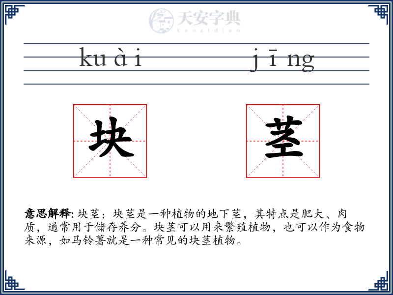 块茎