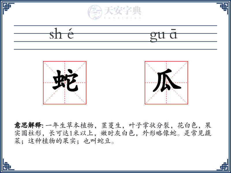蛇瓜