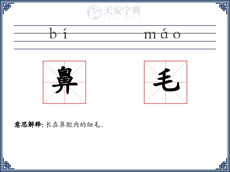 鼻毛