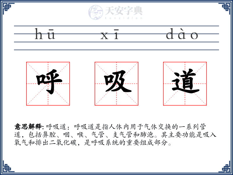 呼吸道