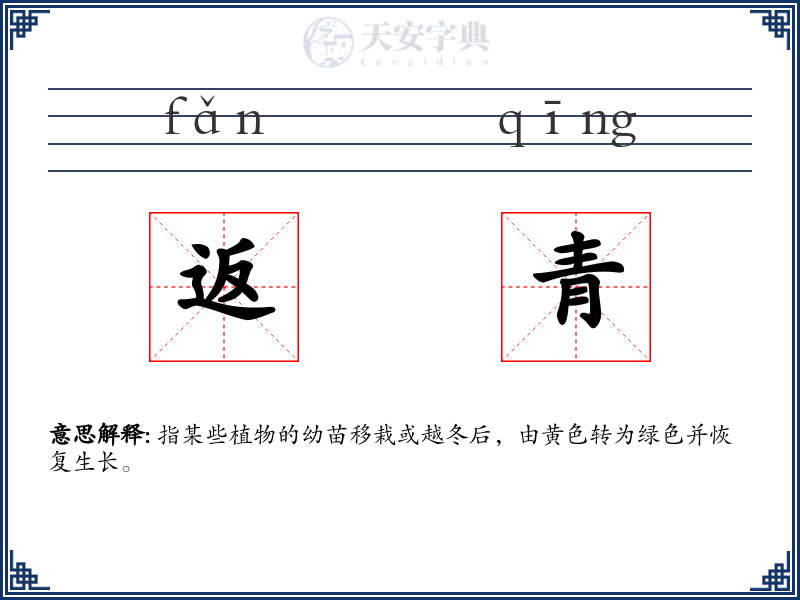返青