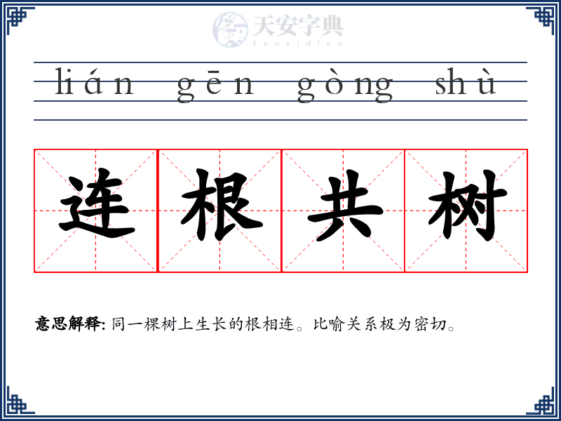 连根共树