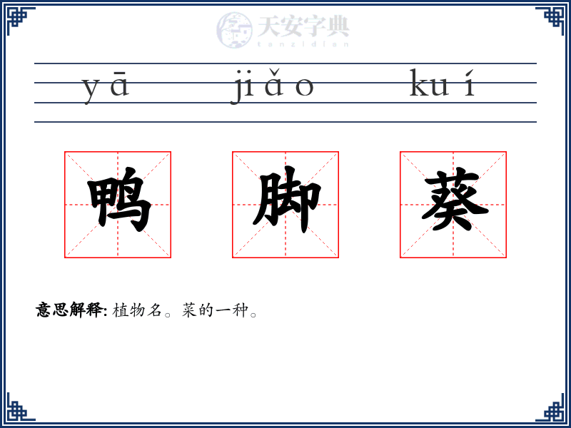 鸭脚葵