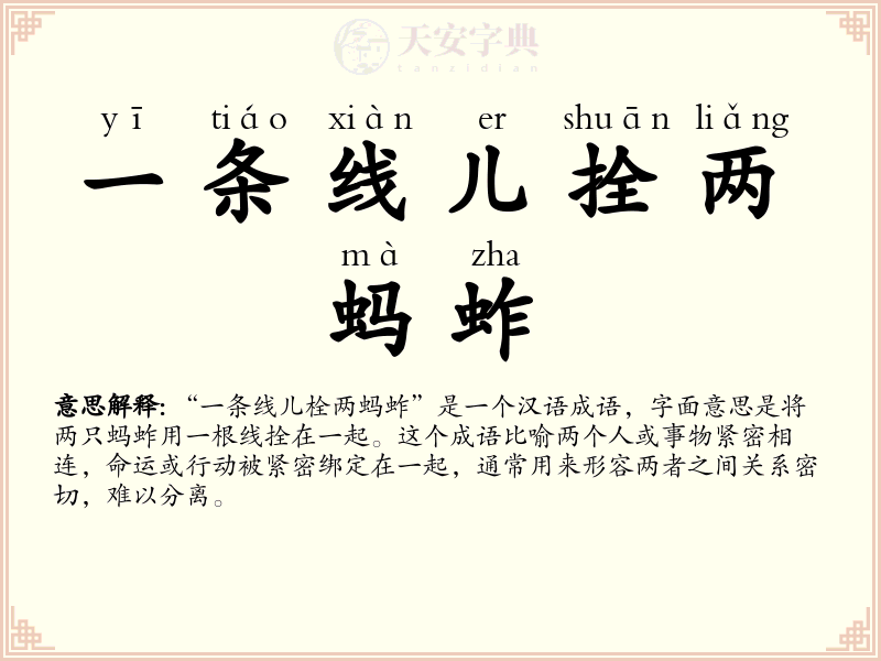一条线儿拴两蚂蚱
