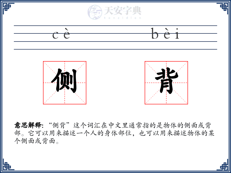 侧背