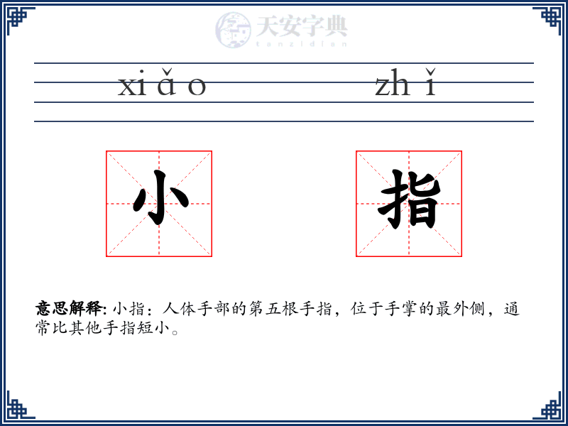 小指