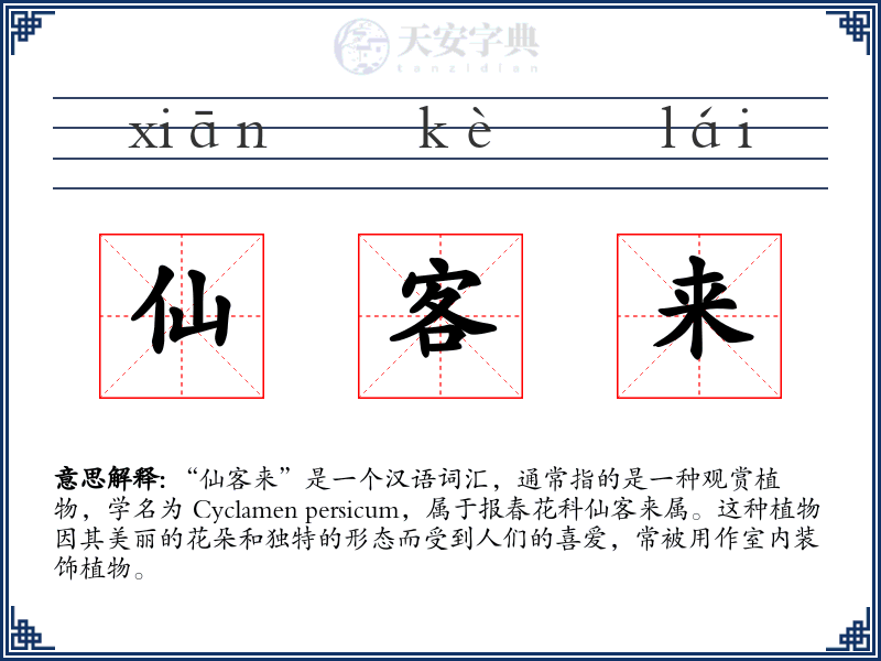 仙客来