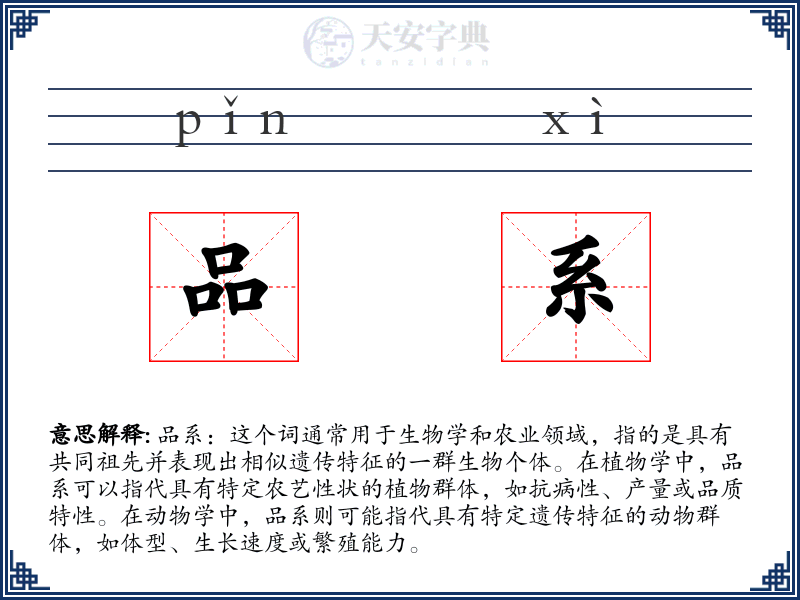 品系