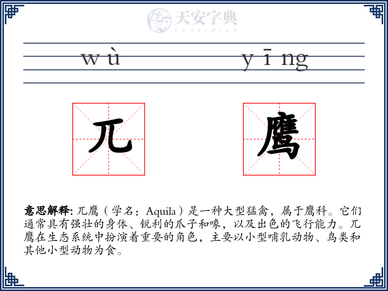 兀鹰
