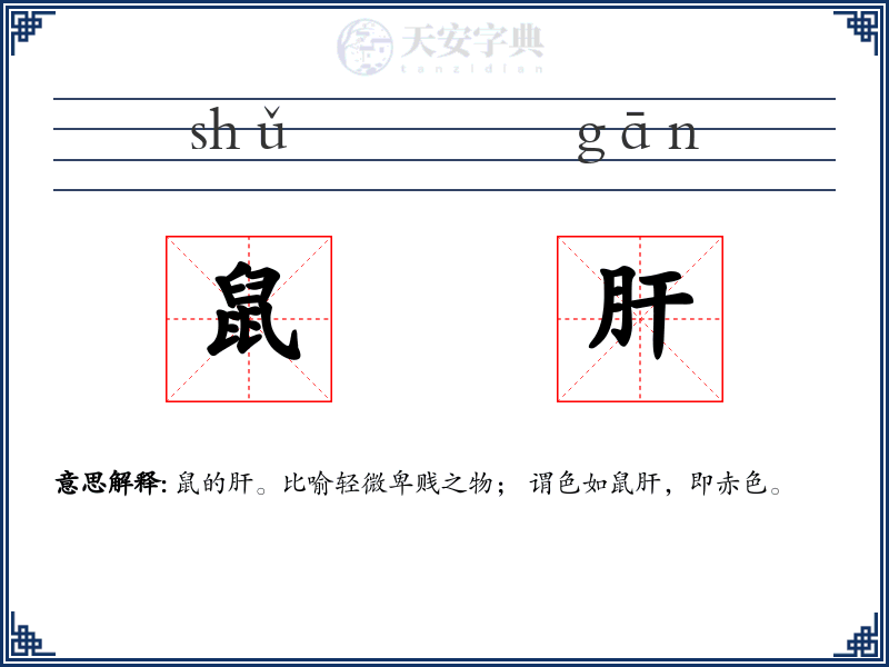 鼠肝
