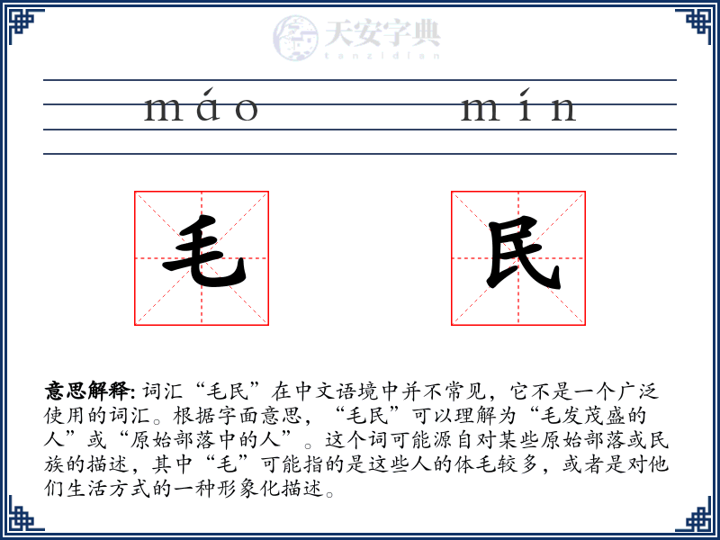 毛民