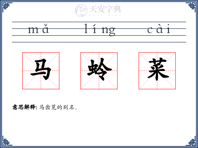 马蛉菜