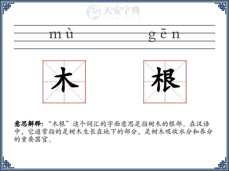 木根