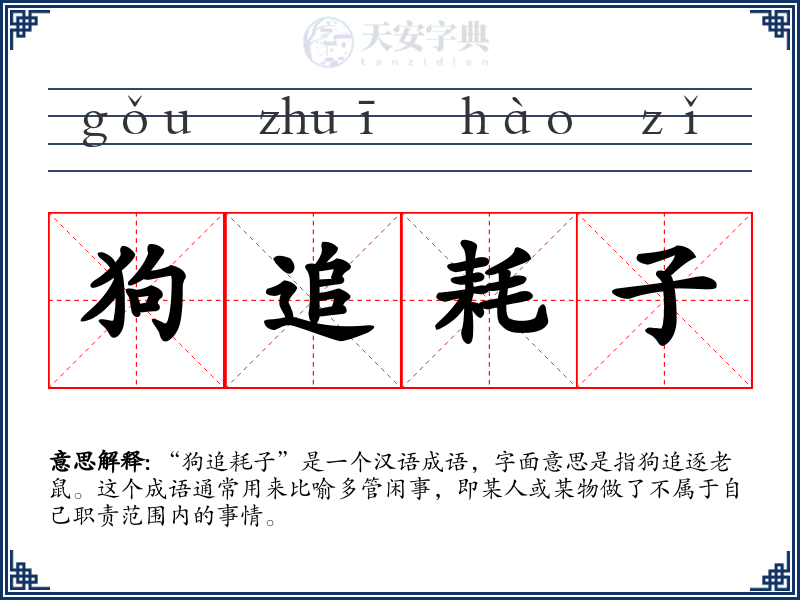 狗追耗子