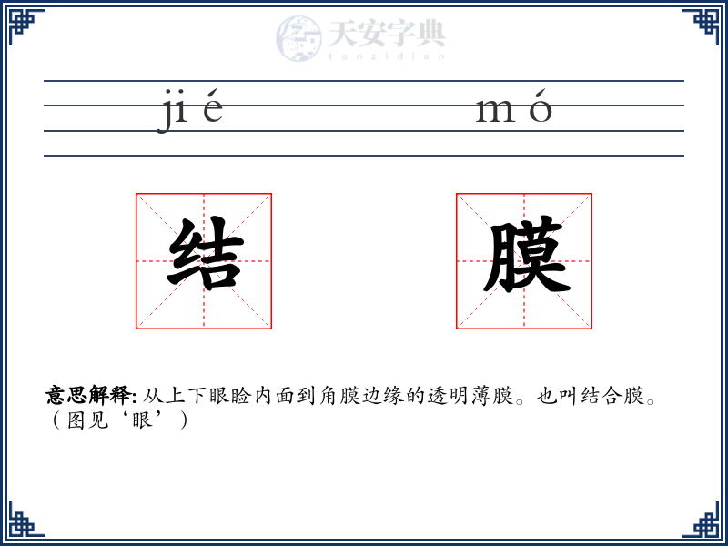 结膜