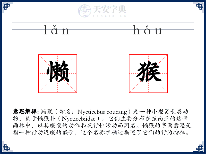 懒猴
