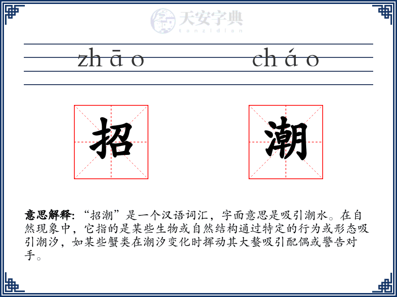 招潮