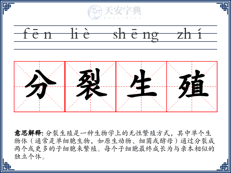 分裂生殖