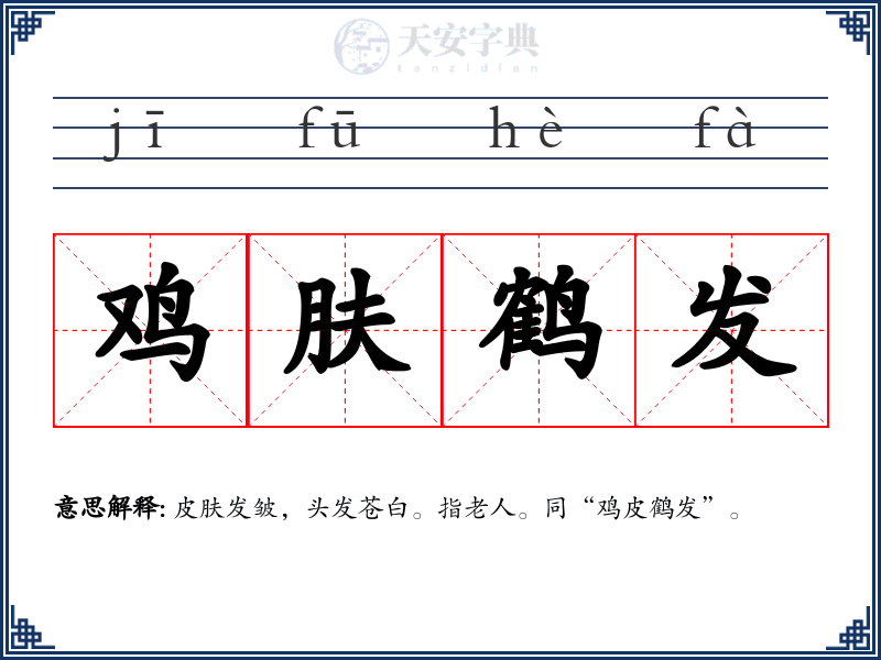 鸡肤鹤发
