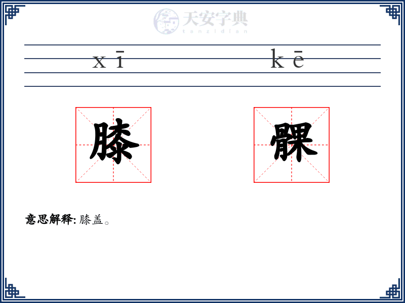 膝髁