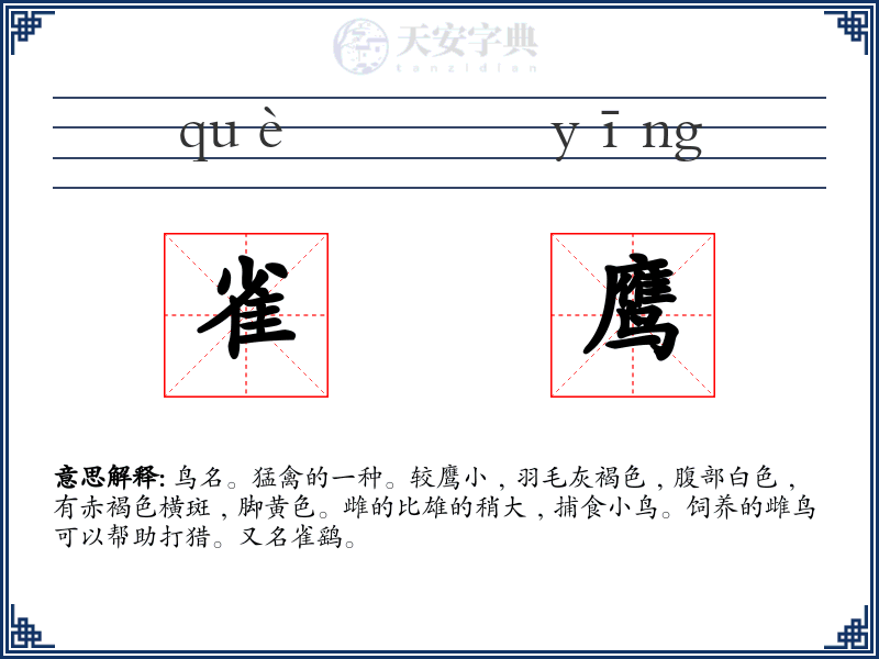 雀鹰
