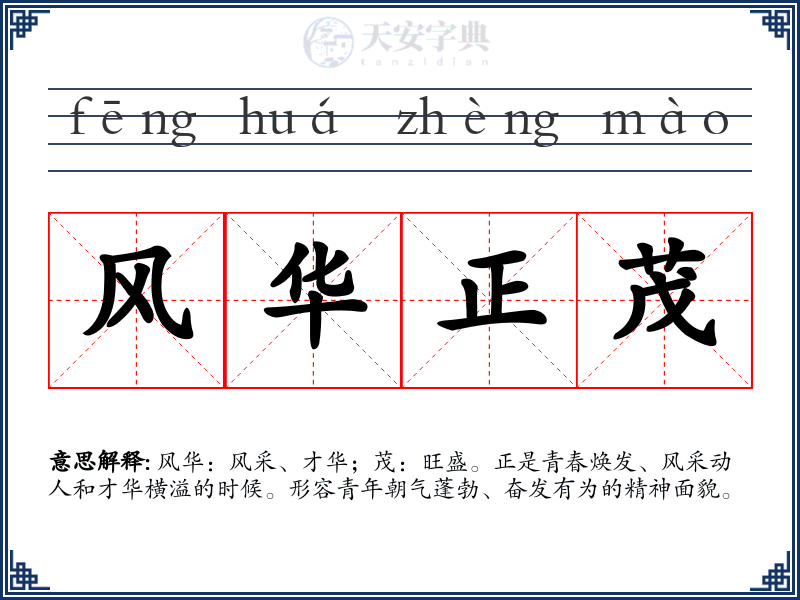 风华正茂
