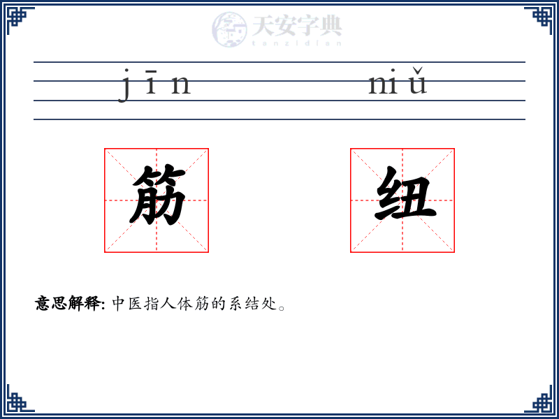 筋纽