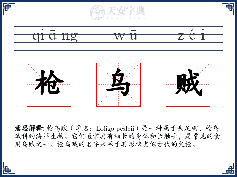 枪乌贼