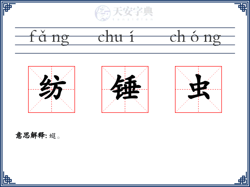 纺锤虫