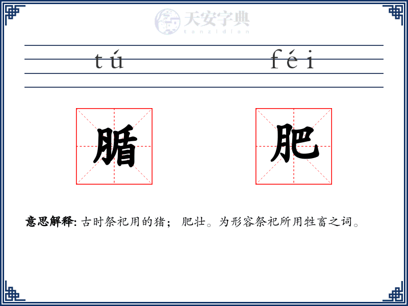 腯肥